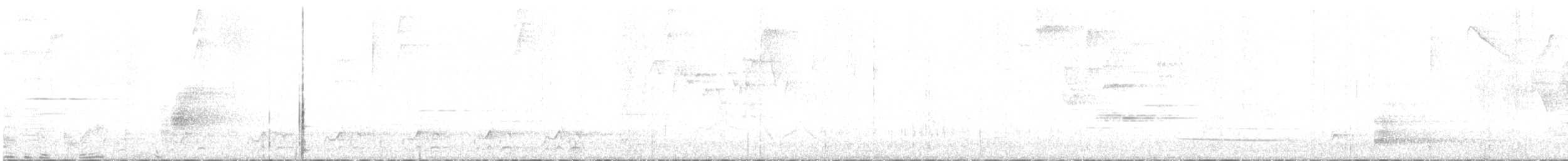 svartbrysttannvaktel - ML616962124
