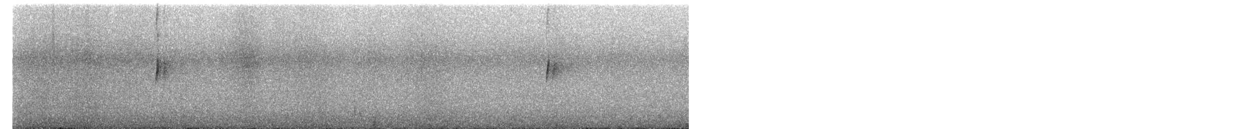 Gray-flanked Cinclodes - ML616962339