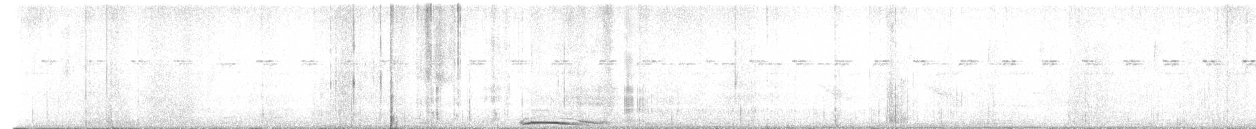 Barred Owl - ML616962840