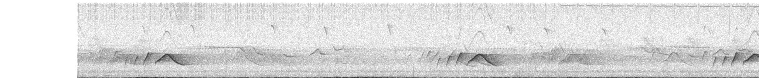 White-eared Sibia - ML616968993