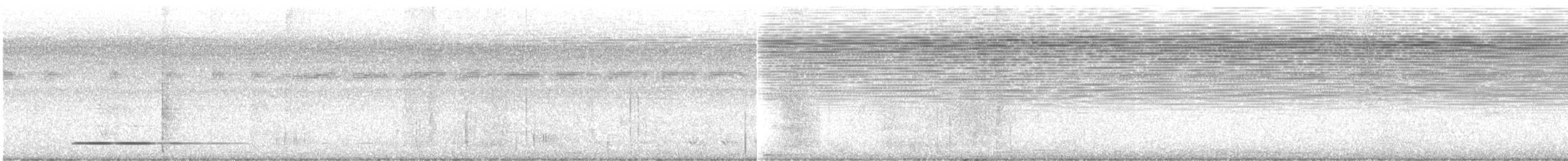 Thicket Tinamou - ML616971299