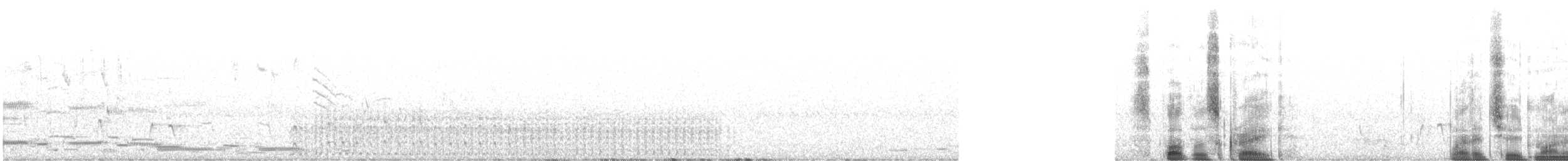 Spotless Crake - ML616972793