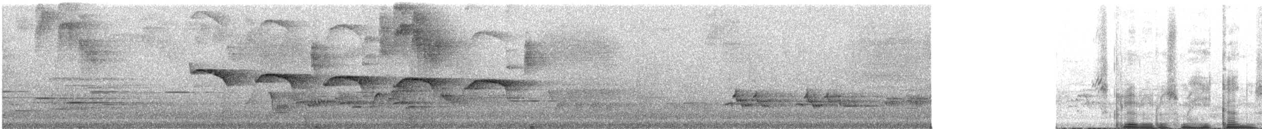 Светлогорлый тенелюб - ML616973494