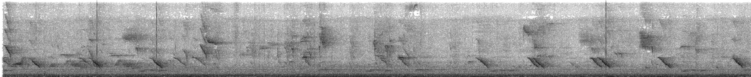 Australasian Figbird - ML616973963