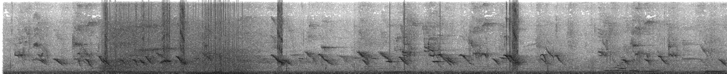 Australasian Figbird - ML616973970