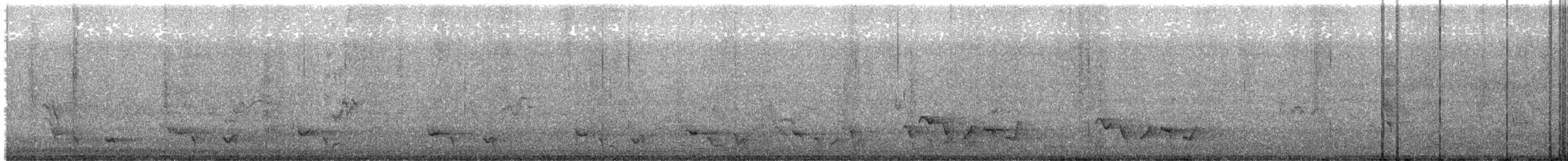 Little Friarbird - ML616973999