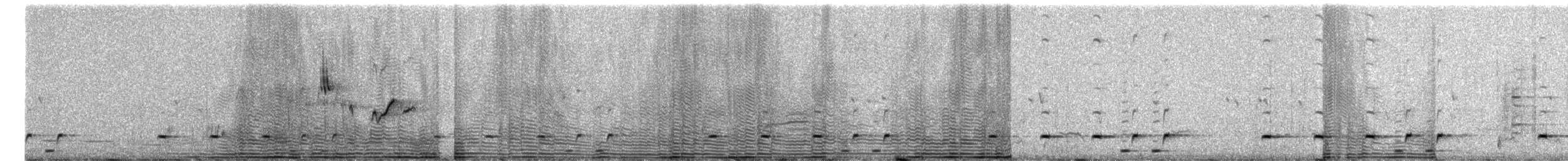 Schwarz-Haubendickkopf - ML616977537