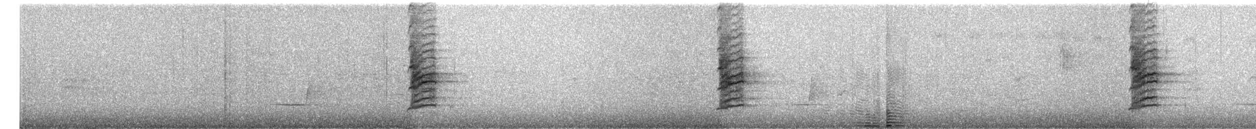 hvitpannehonningeter - ML616977817