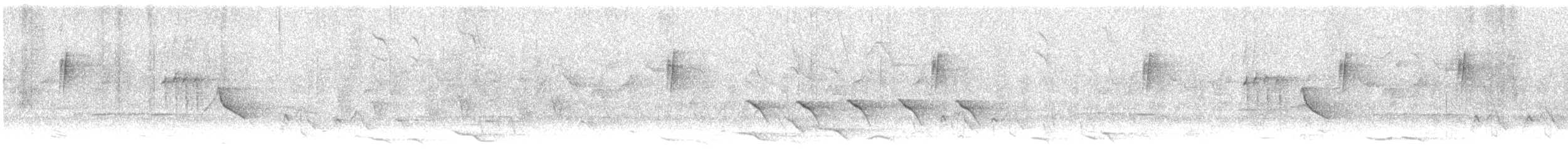 svartstrupesolfugl - ML616978253