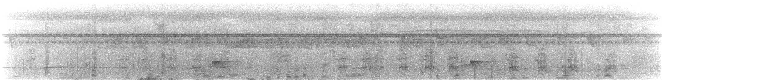 Graubrust-Ameisendrossel [hoffmanni-Gruppe] - ML616978833