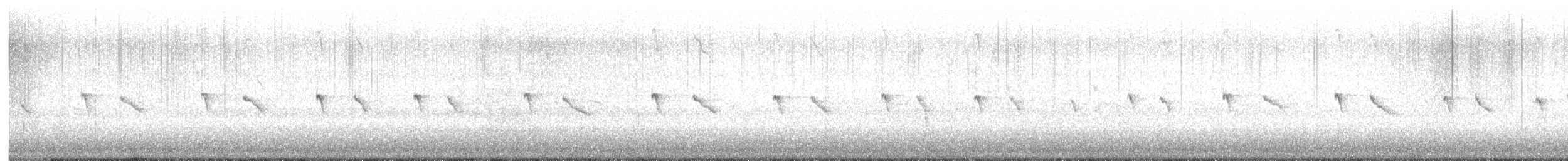 Keilschwanz-Regenpfeifer - ML616978954