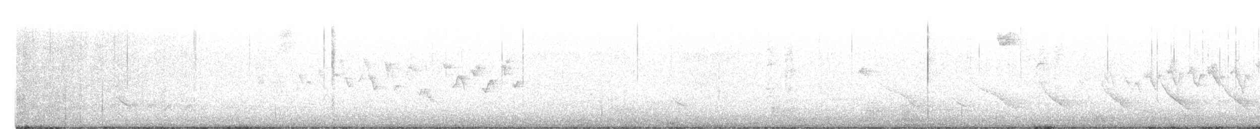 Yellow-rumped Warbler (Myrtle) - ML616981521