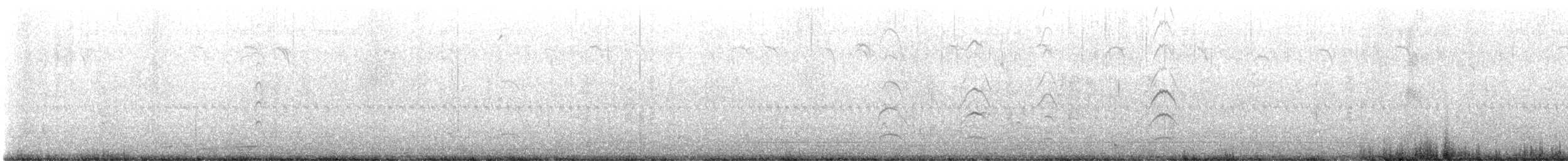 Бонапартова чайка - ML616981594