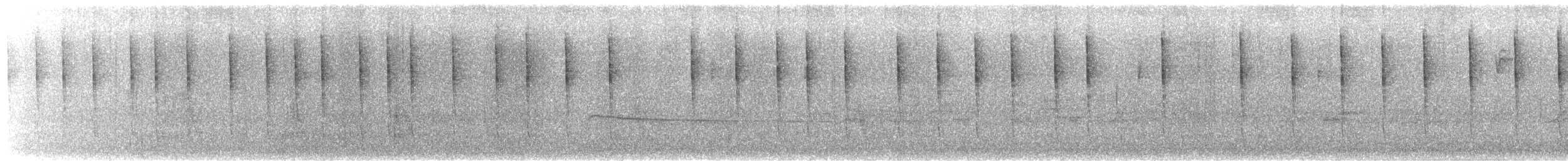 Amazilia Yucateca (cerviniventris/chalconota) - ML616984438