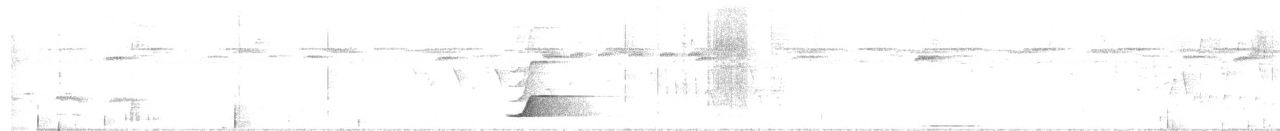Pale-browed Tinamou - ML616985786