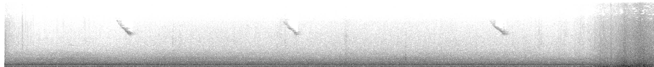 Fan-tailed Warbler - ML616986510