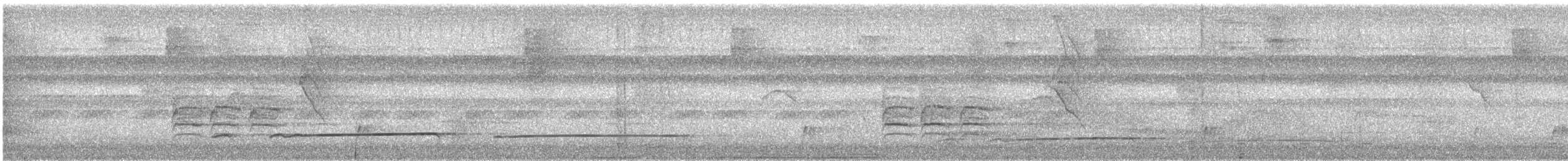 Лінивка-смугохвіст західна - ML616987286