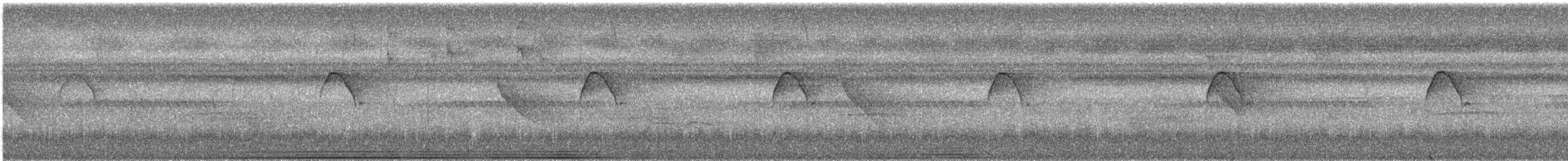 Тиран-крихітка білолобий - ML616987318
