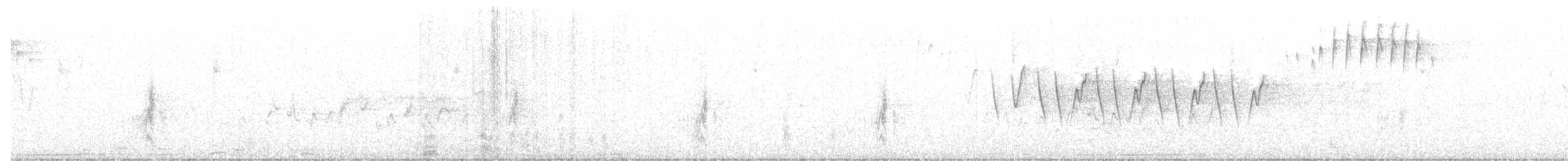 シロノドメジロハエトリ - ML616987496
