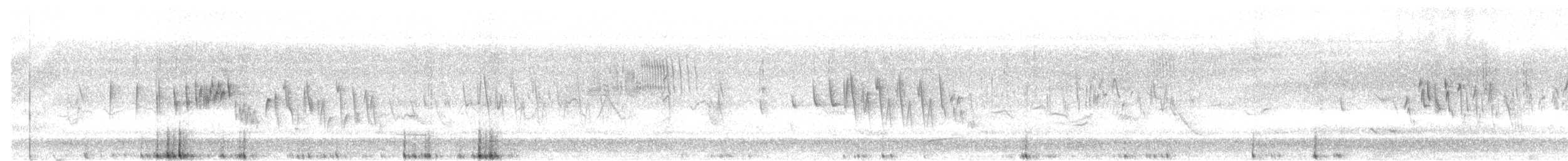 Txoriandre arrunta - ML616988377