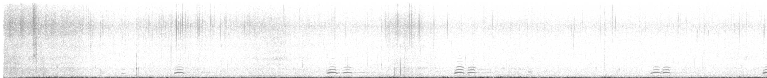 Cisne Trompetero - ML616988654