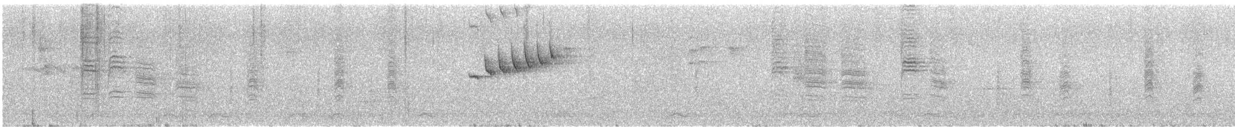 Ak Karınlı Kasapkuşu - ML616992911