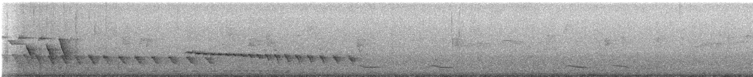 Grauband-Ameisenvogel - ML616993844