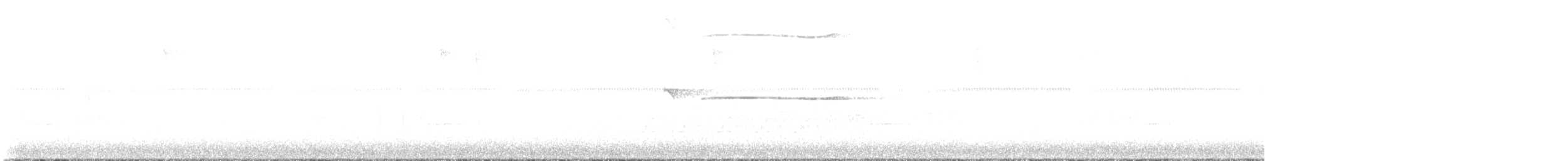 Ширококрылый канюк - ML616997764