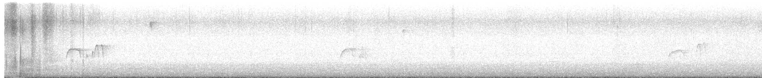 Светлобрюхий фиби - ML616999019