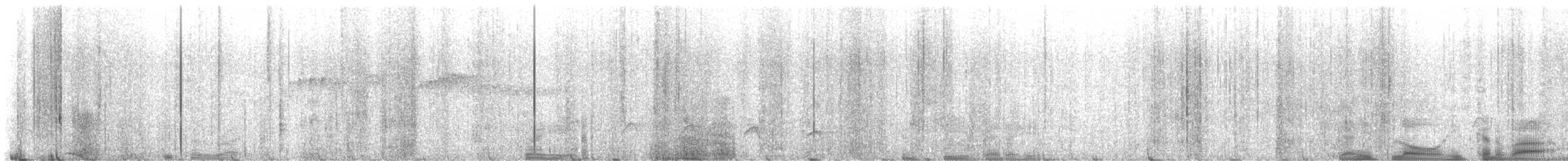 Weißflanken-Ameisenschlüpfer - ML616999721