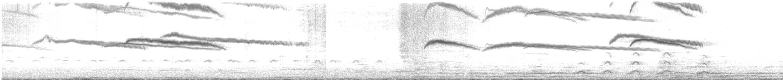 alkoun holubí - ML616999848