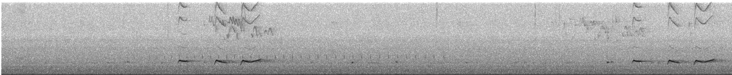 Grallaire d'Atuen - ML617002962