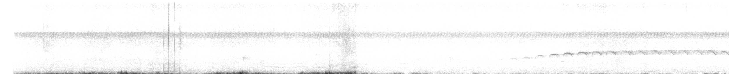 Large-tailed Antshrike - ML617003861