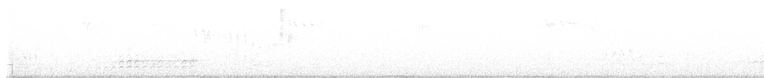 Weißbrustkleiber - ML617004636