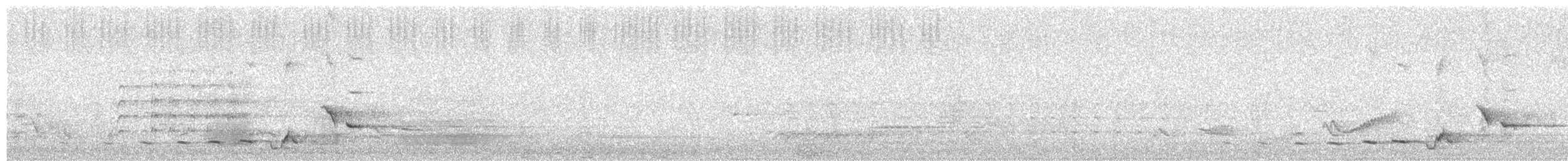 Серогрудый питуи - ML617005004