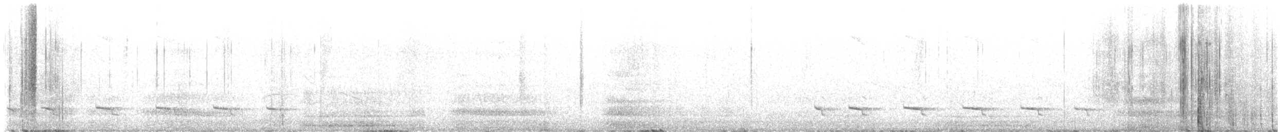 Cajamarca Antpitta - ML617005760