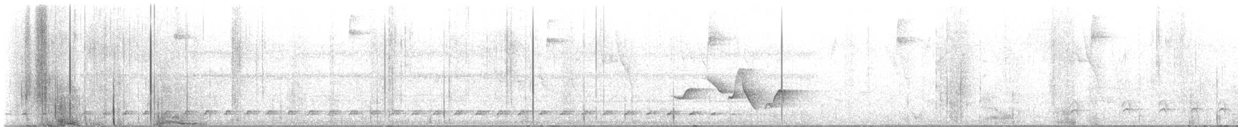 gråmaurvarsler (leucogaster/huallagae) (marañonmaurvarsler) - ML617006155