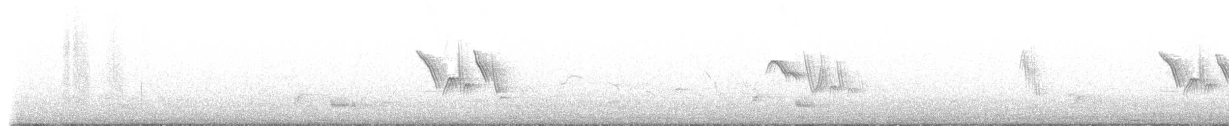 Оронгийн бор шувуу - ML617009528