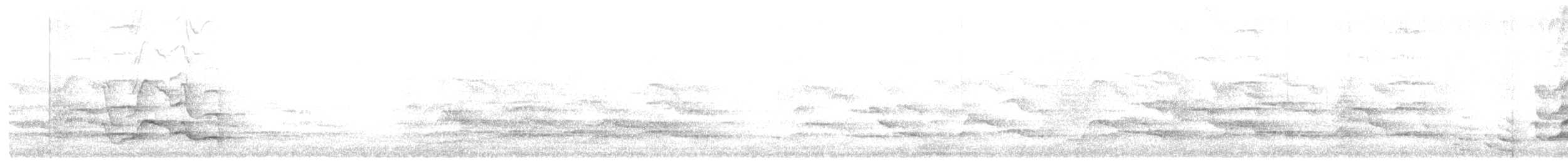 Carnaby Siyah Kakadusu - ML617011579