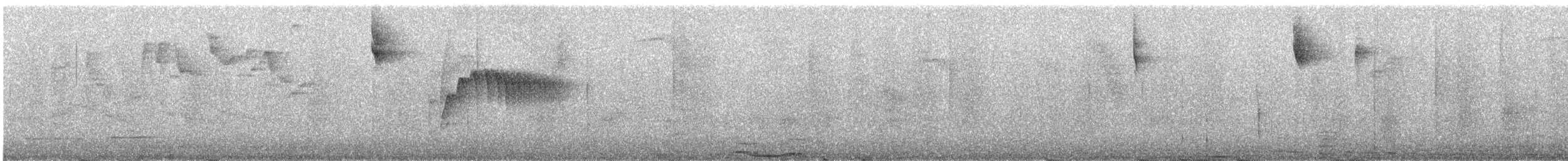 Очковая канделита - ML617011999