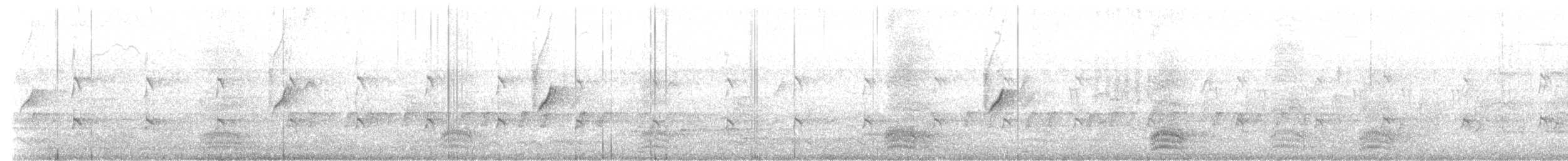 Атласная нектарница - ML617012402