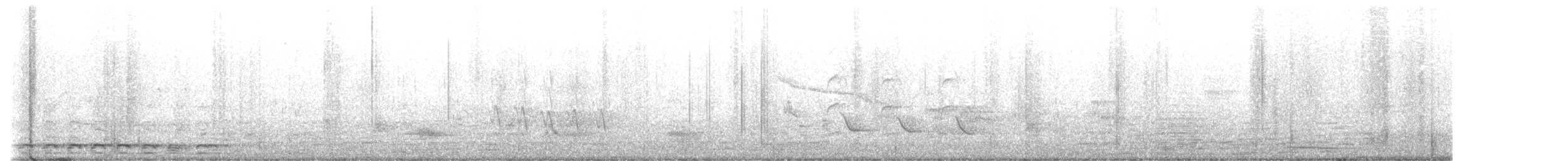 Indian Peafowl - ML617012936