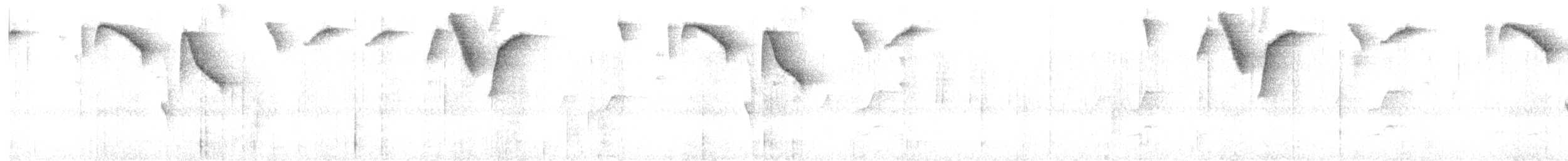 White-browed Brushfinch - ML617013736