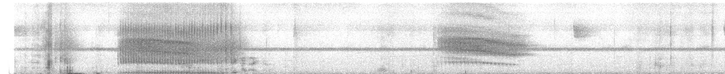 Strichelbaumspäher - ML617013750