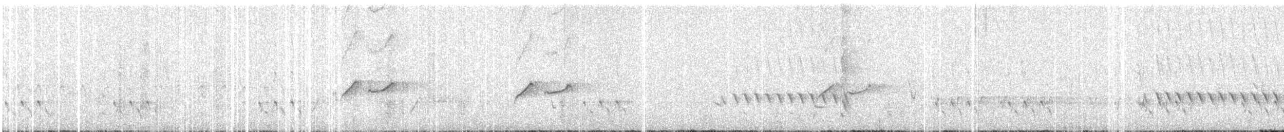 Çizgili Panterkuşu - ML617014820