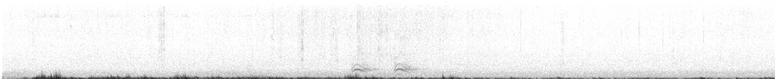 Ring-necked Pheasant - ML617021384
