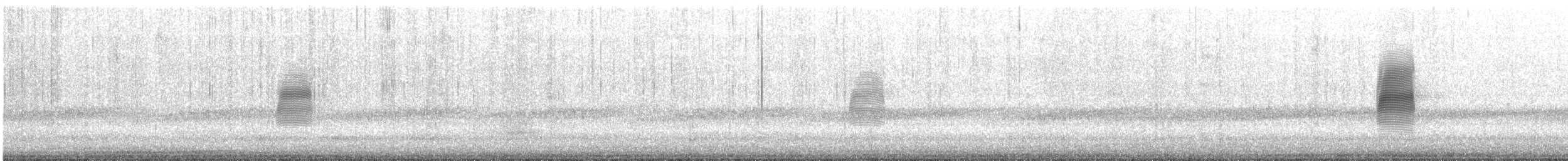 American Woodcock - ML617021682