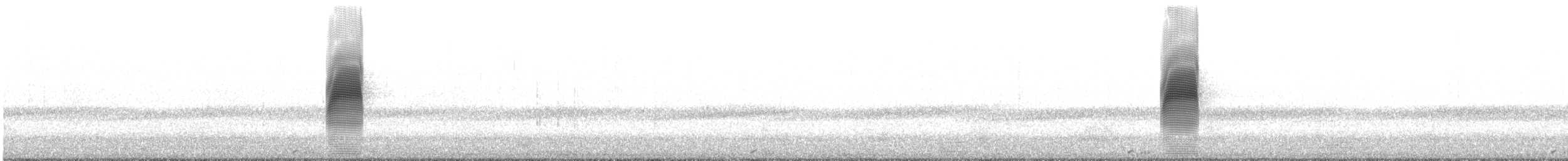 sluka americká - ML617021683