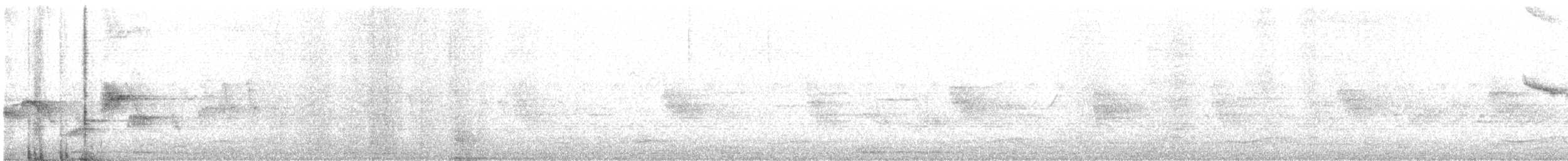 Kara Taşkuşu - ML617023068