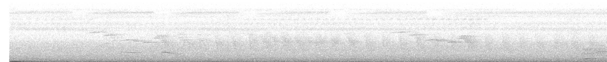 orientskjæreskvett (saularis gr.) - ML617023164